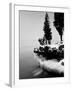 Usa, Wisconsin, Lake Michigan, Shore Scenic, Winter (B&W)-Alex L. Fradkin-Framed Photographic Print