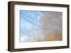 USA, Wisconsin, Madison. Frost Patterns Formed on Glass-Jaynes Gallery-Framed Photographic Print