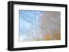 USA, Wisconsin, Madison. Frost Patterns Formed on Glass-Jaynes Gallery-Framed Photographic Print