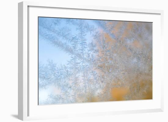 USA, Wisconsin, Madison. Frost Patterns Formed on Glass-Jaynes Gallery-Framed Photographic Print