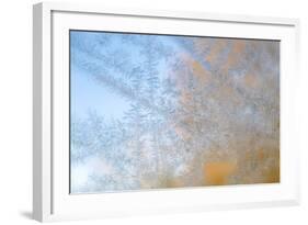 USA, Wisconsin, Madison. Frost Patterns Formed on Glass-Jaynes Gallery-Framed Photographic Print