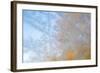 USA, Wisconsin, Madison. Frost Patterns Formed on Glass-Jaynes Gallery-Framed Photographic Print