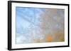 USA, Wisconsin, Madison. Frost Patterns Formed on Glass-Jaynes Gallery-Framed Photographic Print