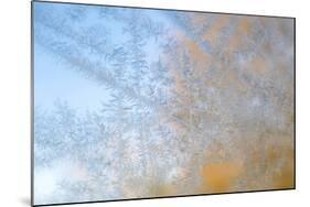 USA, Wisconsin, Madison. Frost Patterns Formed on Glass-Jaynes Gallery-Mounted Photographic Print