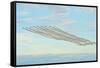 USA, Wisconsin, Oshkosh, Airshow dramatic plane formation-Bernard Friel-Framed Stretched Canvas
