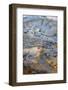 USA, Wyoming. Abstract geothermal feature, Anemone Geyser, Yellowstone National Park.-Judith Zimmerman-Framed Photographic Print