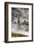 USA, Wyoming. Along the trail, Artists Paintpots, Yellowstone National Park.-Judith Zimmerman-Framed Photographic Print