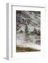 USA, Wyoming. Along the trail, Artists Paintpots, Yellowstone National Park.-Judith Zimmerman-Framed Photographic Print