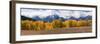 USA, Wyoming. Aspen, Grand Teton National Park.-Judith Zimmerman-Framed Photographic Print