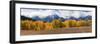 USA, Wyoming. Aspen, Grand Teton National Park.-Judith Zimmerman-Framed Photographic Print