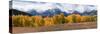 USA, Wyoming. Aspen, Grand Teton National Park.-Judith Zimmerman-Stretched Canvas