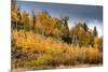 USA, Wyoming. Aspen, Grand Teton National Park.-Judith Zimmerman-Mounted Photographic Print