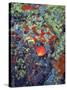 USA, Wyoming, Aspen Leaf on a Lichen Covered Rock-Jaynes Gallery-Stretched Canvas