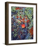 USA, Wyoming, Aspen Leaf on a Lichen Covered Rock-Jaynes Gallery-Framed Photographic Print