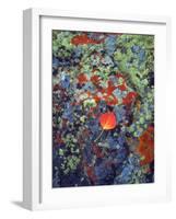 USA, Wyoming, Aspen Leaf on a Lichen Covered Rock-Jaynes Gallery-Framed Photographic Print