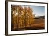 USA, Wyoming. Aspen with starburst near the Oxbow, Grand Teton National Park.-Judith Zimmerman-Framed Photographic Print