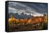USA, Wyoming. Autumn evening near Black Tail Butte, Grand Teton National Park.-Judith Zimmerman-Framed Stretched Canvas