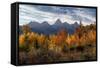 USA, Wyoming. Autumn evening near Black Tail Butte, Grand Teton National Park.-Judith Zimmerman-Framed Stretched Canvas