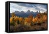 USA, Wyoming. Autumn evening near Black Tail Butte, Grand Teton National Park.-Judith Zimmerman-Framed Stretched Canvas