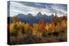 USA, Wyoming. Autumn evening near Black Tail Butte, Grand Teton National Park.-Judith Zimmerman-Stretched Canvas