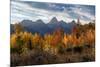 USA, Wyoming. Autumn evening near Black Tail Butte, Grand Teton National Park.-Judith Zimmerman-Mounted Photographic Print