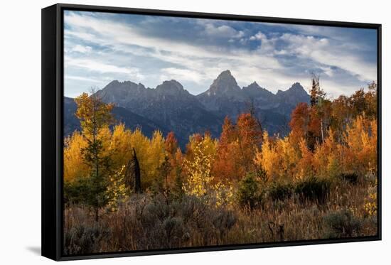 USA, Wyoming. Autumn evening near Black Tail Butte, Grand Teton National Park.-Judith Zimmerman-Framed Stretched Canvas