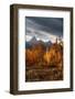 USA, Wyoming. Autumn evening near Black Tail Butte, Grand Teton National Park.-Judith Zimmerman-Framed Photographic Print