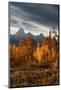 USA, Wyoming. Autumn evening near Black Tail Butte, Grand Teton National Park.-Judith Zimmerman-Mounted Photographic Print