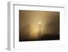 USA, Wyoming, Bridger-Teton National Forest. Trees silhouetted by foggy spring sunrise.-Jaynes Gallery-Framed Photographic Print