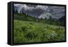 USA, Wyoming. Dramatic clouds and wildflowers in meadow west side of Teton Mountains-Howie Garber-Framed Stretched Canvas