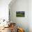 USA, Wyoming. Dramatic clouds and wildflowers in meadow west side of Teton Mountains-Howie Garber-Photographic Print displayed on a wall