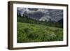 USA, Wyoming. Dramatic clouds and wildflowers in meadow west side of Teton Mountains-Howie Garber-Framed Photographic Print