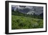 USA, Wyoming. Dramatic clouds and wildflowers in meadow west side of Teton Mountains-Howie Garber-Framed Photographic Print