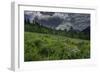 USA, Wyoming. Dramatic clouds and wildflowers in meadow west side of Teton Mountains-Howie Garber-Framed Photographic Print