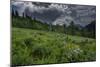 USA, Wyoming. Dramatic clouds and wildflowers in meadow west side of Teton Mountains-Howie Garber-Mounted Photographic Print