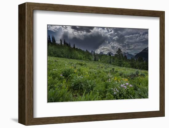 USA, Wyoming. Dramatic clouds and wildflowers in meadow west side of Teton Mountains-Howie Garber-Framed Photographic Print