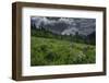 USA, Wyoming. Dramatic clouds and wildflowers in meadow west side of Teton Mountains-Howie Garber-Framed Photographic Print