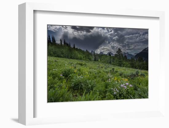 USA, Wyoming. Dramatic clouds and wildflowers in meadow west side of Teton Mountains-Howie Garber-Framed Photographic Print