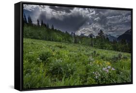 USA, Wyoming. Dramatic clouds and wildflowers in meadow west side of Teton Mountains-Howie Garber-Framed Stretched Canvas