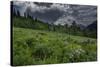 USA, Wyoming. Dramatic clouds and wildflowers in meadow west side of Teton Mountains-Howie Garber-Stretched Canvas