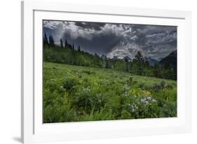 USA, Wyoming. Dramatic clouds and wildflowers in meadow west side of Teton Mountains-Howie Garber-Framed Photographic Print