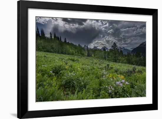 USA, Wyoming. Dramatic clouds and wildflowers in meadow west side of Teton Mountains-Howie Garber-Framed Photographic Print