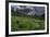 USA, Wyoming. Dramatic clouds and wildflowers in meadow west side of Teton Mountains-Howie Garber-Framed Photographic Print