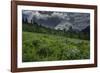 USA, Wyoming. Dramatic clouds and wildflowers in meadow west side of Teton Mountains-Howie Garber-Framed Photographic Print