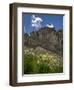 USA, Wyoming. Field of Columbine wildflowers, and mountain, Jedediah Smith Wilderness-Howie Garber-Framed Photographic Print