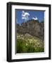 USA, Wyoming. Field of Columbine wildflowers, and mountain, Jedediah Smith Wilderness-Howie Garber-Framed Photographic Print