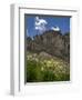 USA, Wyoming. Field of Columbine wildflowers, and mountain, Jedediah Smith Wilderness-Howie Garber-Framed Photographic Print