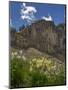 USA, Wyoming. Field of Columbine wildflowers, and mountain, Jedediah Smith Wilderness-Howie Garber-Mounted Photographic Print