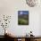 USA, Wyoming. Field of Columbine wildflowers, and mountain, Jedediah Smith Wilderness-Howie Garber-Framed Stretched Canvas displayed on a wall