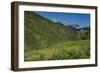 USA, Wyoming. Geranium and arrowleaf balsamroot wildflowers in meadow west side of Teton Mountains-Howie Garber-Framed Photographic Print